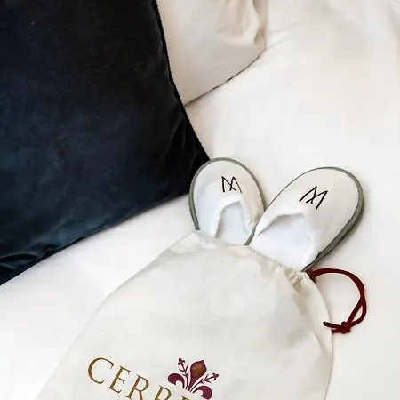 Cerretani - Mgallery Collection Hotel Florencie